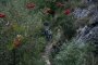 083-img_3662.jpg.small.jpeg